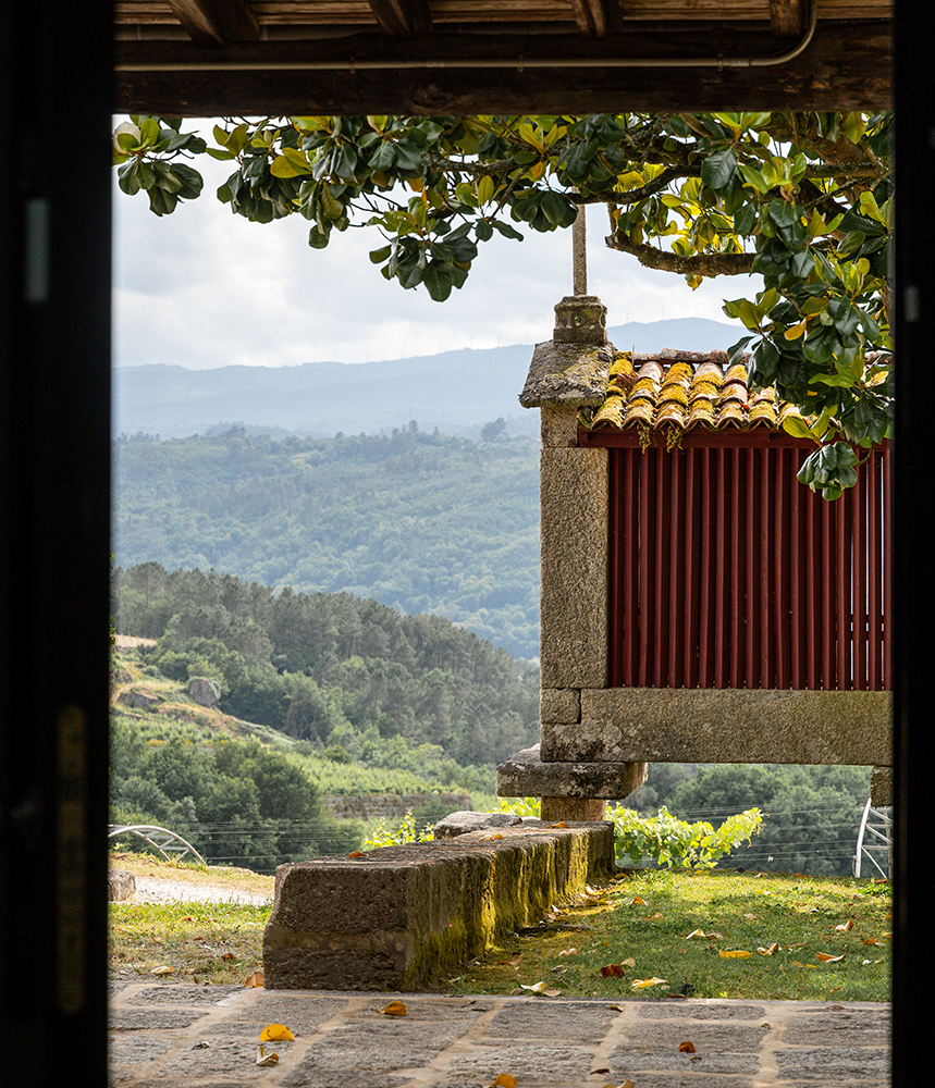 Enoturismo Ribeiro, Galicia