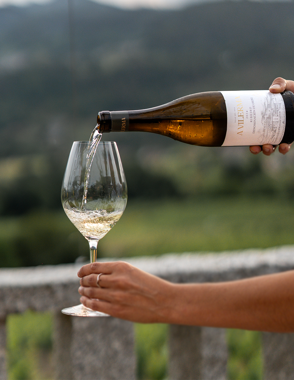 Enoturismo Especial Entroido en A Vilerma