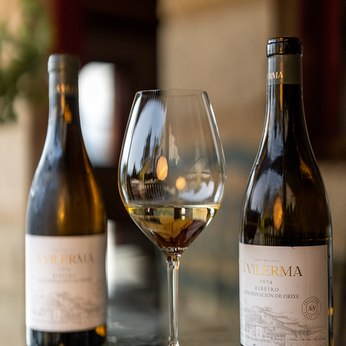 Ribeiro, vino blanco Galicia